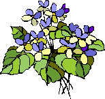 200504.gif
