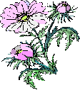 200805.gif