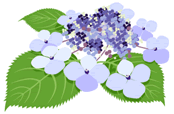 201705a.gif